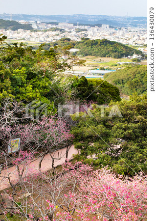 Scenery from Yaese Park 136430079