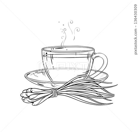 Cup of Lemongrass Tea Outline Illustration. 136430309