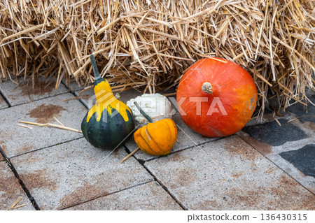 Orange, green, yellow fresh pumpkins with straw on the street. Autumn nature background for Halloween decoration or cook. Orange, green, yellow fresh pumpkins with straw on the street. Autumn nature background for Halloween decoration or cook. 136430315
