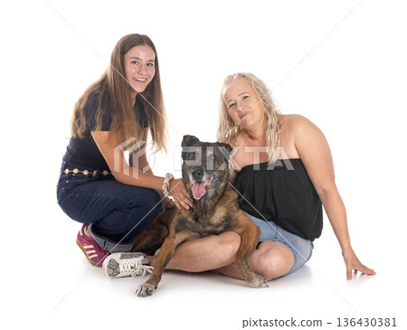 malinois and women in studio malinois and women in studio 136430381