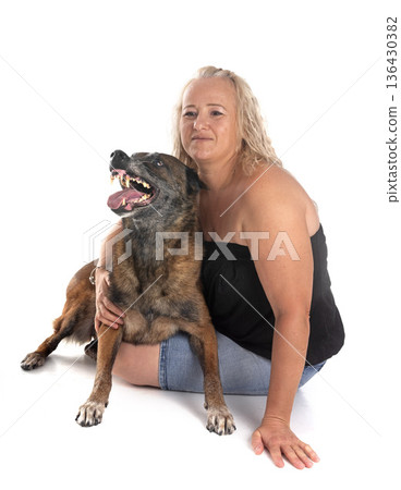malinois and woman in studio malinois and woman in studio 136430382