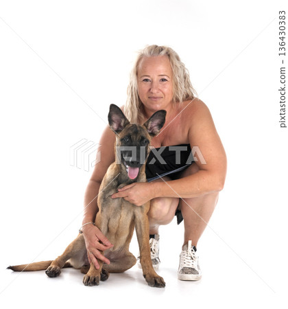 malinois and girl in studio malinois and girl in studio 136430383