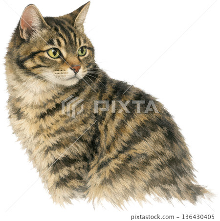 Antique-style cat illustrations - Vintage animal material Antique-style cat illustrations - Vintage animal material 136430405