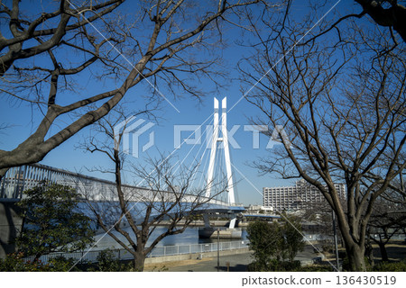 東京都江東區辰巳櫻橋 東京都江東區辰巳櫻橋 136430519