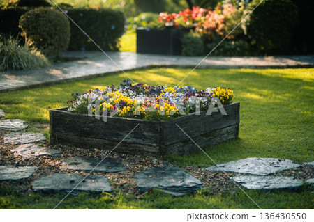 Colorful pansy flowers in wooden planter box with morning dew and bokeh background Colorful pansy flowers in wooden planter box with morning dew and bokeh background 136430550