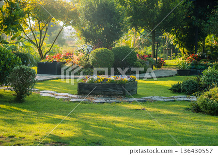 Peaceful landscaped garden with stone path, wooden planter, and trees in morning light. 136430557
