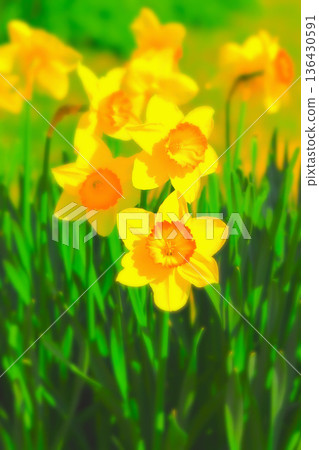 花園巨人盛開 花園巨人盛開 136430591