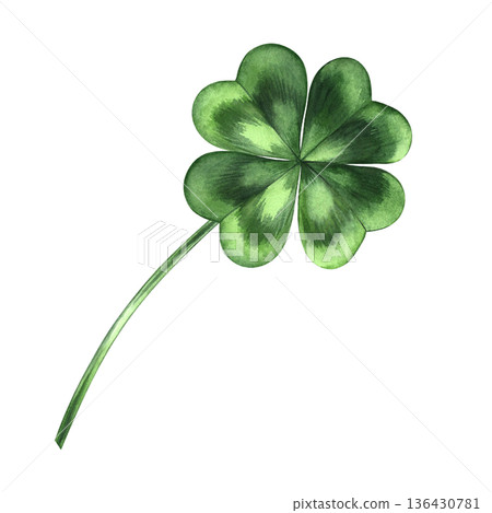 Four-leaf clover. Hand-drawn watercolor illustration. Symbol of good luck and success. For logos and prints, greeting cards, banners and flyers, packaging, invitations, holiday decor, and more. 136430781