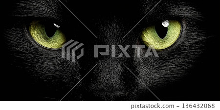 Black cat glowing green eyes staring from darkness. Black cat eyes glowing green from darkness, symbolizing mystery and vigilance Black cat glowing green eyes staring from darkness. Black cat eyes glowing green from darkness, symbolizing mystery and vigilance 136432068