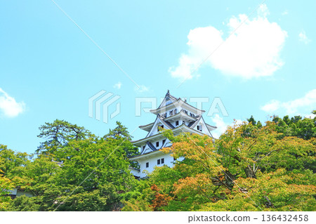 岐阜縣上市郡上八幡城風景 136432458