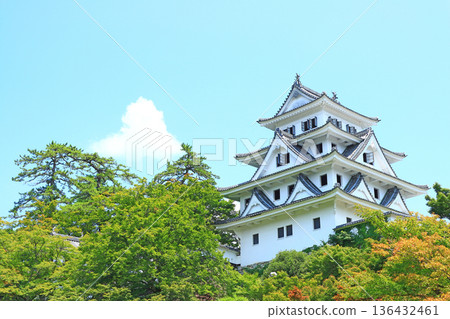 岐阜縣上市郡上八幡城風景 岐阜縣上市郡上八幡城風景 136432461