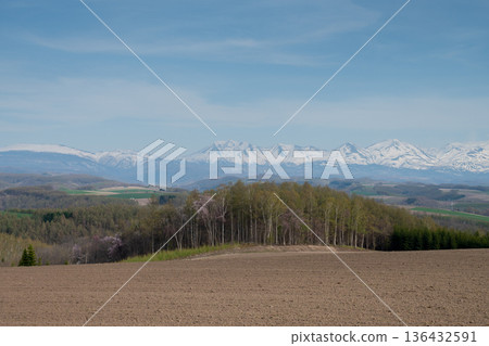 A miscellaneous forest with blooming cherry blossoms and a mountain range covered in lingering snow, the Tokachidake Mountain Range A miscellaneous forest with blooming cherry blossoms and a mountain range covered in lingering snow, the Tokachidake Mountain Range 136432591