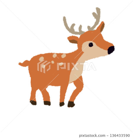 Cute deer illustration - Be careful of jumping out onto the road - Wild animal material Cute deer illustration - Be careful of jumping out onto the road - Wild animal material 136433590