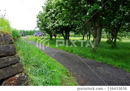 奧巴伊露天博物館內短暫而鬱鬱蔥蔥的夏季景觀 136433636