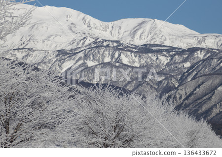 信州長野的冬日：湛藍的天空透過霜凍隱約可見白雪皚皚的北阿爾卑斯山脈。 136433672