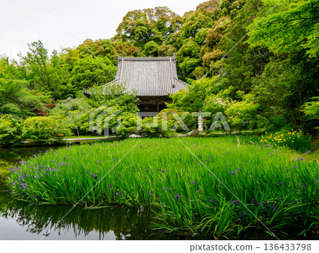 【奈良縣】天理市長岳寺（2024年5月15日拍攝） 136433798