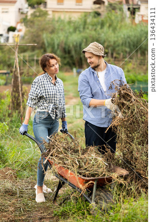Woman and man takes out bunch of branches, puts garbage in wheelbarrow Woman and man takes out bunch of branches, puts garbage in wheelbarrow 136434111