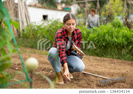Positive girl buries berry and vegetable seeds in ground in garden bed Positive girl buries berry and vegetable seeds in ground in garden bed 136434134