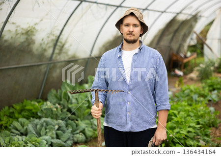 Portrait of man inside greenhouse with harvest of vegetables and cabbage Portrait of man inside greenhouse with harvest of vegetables and cabbage 136434164