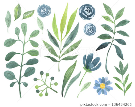 Set of hand-drawn watercolor illustrations of flowers and leaves. A spring-summer collection of colorful plants. Set of hand-drawn watercolor illustrations of flowers and leaves. A spring-summer collection of colorful plants. 136434265
