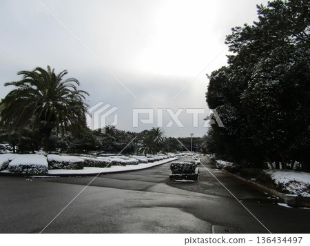 Snow scene at the entrance to Inage Seaside Park 136434497