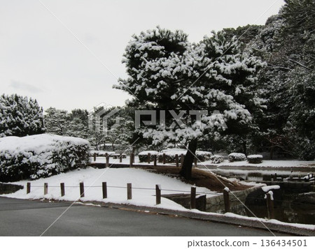 伊納格海濱公園濱濱池的雪景 136434501