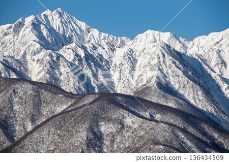 信州長野的冬天：北阿爾卑斯山脈白雪皚皚的崎嶇山脊和蔚藍的天空構成了一幅美麗的山景。 136434509
