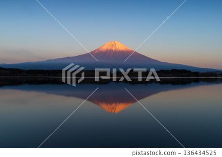 黃昏時分,富士山的倒影映照在狸湖上。 黃昏時分,富士山的倒影映照在狸湖上。 136434525
