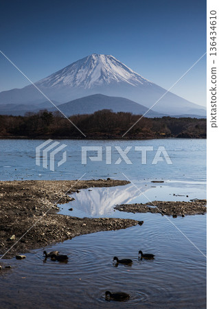 Mt. Fuji wishing from Lake Shoin 136434610