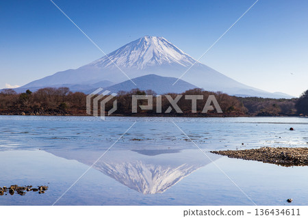 Mt. Fuji wishing from Lake Shoin Mt. Fuji wishing from Lake Shoin 136434611