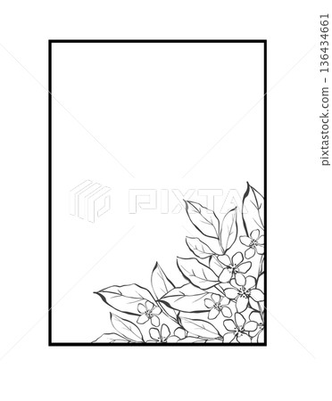 Minimalist floral rectangular frame line art isolated Minimalist floral rectangular frame line art isolated 136434661