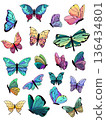 Set of butterflies isolated on white background. 136434801
