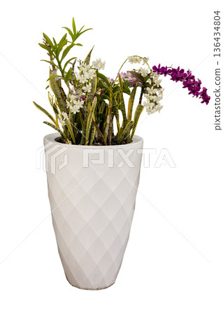 A white planter holds several orchid plants of different colors. The planter has a diamond pattern and is designed for indoor or outdoor use. It adds a touch of nature to any space 136434804