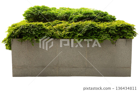 Lush green plants growing in a large stone planter. The planter has a square shape and a smooth surface, suitable for various design projects Lush green plants growing in a large stone planter. The planter has a square shape and a smooth surface, suitable for various design projects 136434811