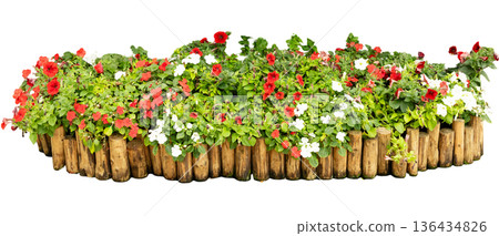 A wooden planter holds a mix of red and white flowers along with green leaves. This arrangement is set on a white background, showing off the colors clearly A wooden planter holds a mix of red and white flowers along with green leaves. This arrangement is set on a white background, showing off the colors clearly 136434826