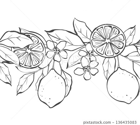 Minimalist lemon fruits and flowers seamless border line art Minimalist lemon fruits and flowers seamless border line art 136435083