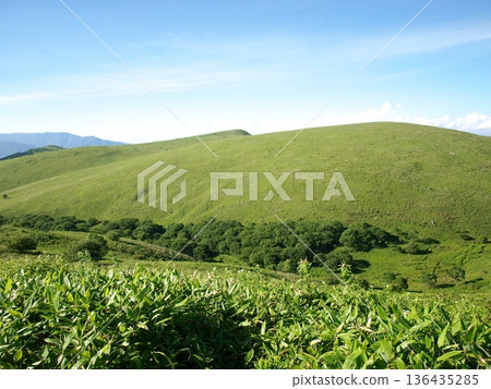 Kirigamine高原草甸 136435285