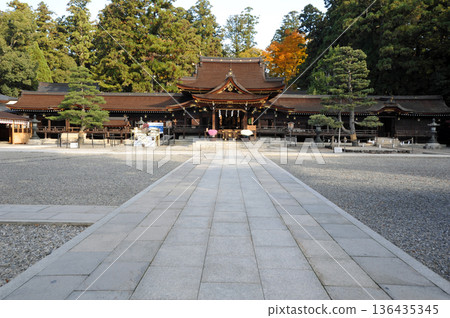 Taga Taisha Taga Taisha 136435345