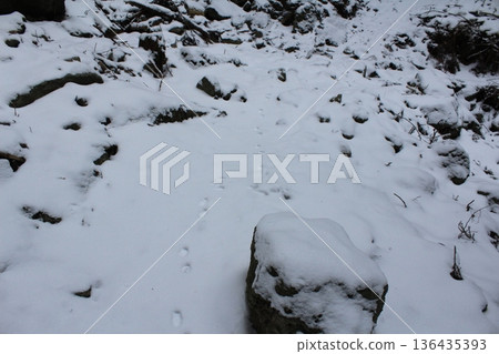 在雪地上的足跡 在雪地上的足跡 136435393