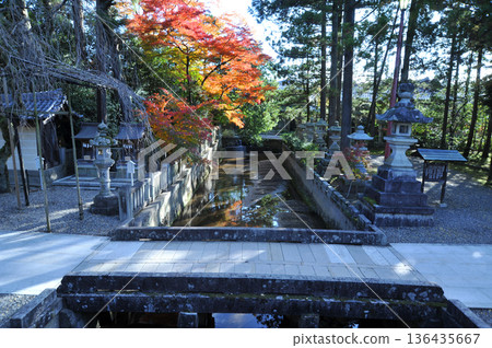 Taga Taisha Taga Taisha 136435667