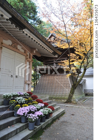 Taga Taisha Taga Taisha 136435673