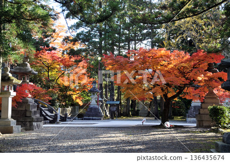 Taga Taisha Taga Taisha 136435674