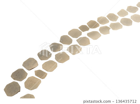 Hexagonal stones are laid out in a curved line. The stones vary in size and shape, and they are placed on a clear background, showing their arrangement and design clearly 136435712