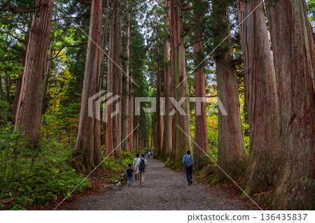 (長野縣)戶隱神社:通往內殿的路上有一棵參天大樹 (長野縣)戶隱神社:通往內殿的路上有一棵參天大樹 136435837