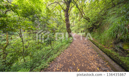 Vereda dos Balcoes PR11 Mountain Footpath, Madeira, Portugal 136435867