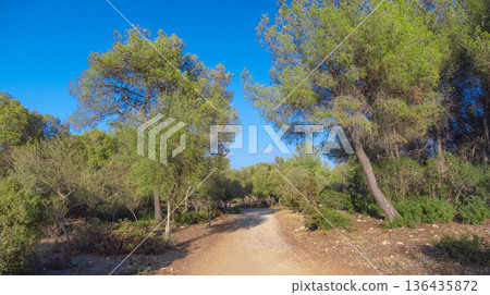 Peninsula de Llevant Natural Park, Spain Peninsula de Llevant Natural Park, Spain 136435872