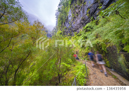 Levada do Risco, Madeira, Portugal Levada do Risco, Madeira, Portugal 136435956
