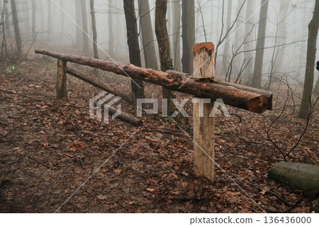 Wooden barrier blocking a forest trail on a foggy autumn day. Misty woodland atmosphere conveys restriction, boundary, isolation and quiet nature dominance Wooden barrier blocking a forest trail on a foggy autumn day. Misty woodland atmosphere conveys restriction, boundary, isolation and quiet nature dominance 136436000