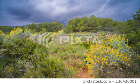 Sierra de Irta Natural Park, Spain 136436001