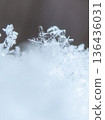 冬日清晨的雪花 136436031